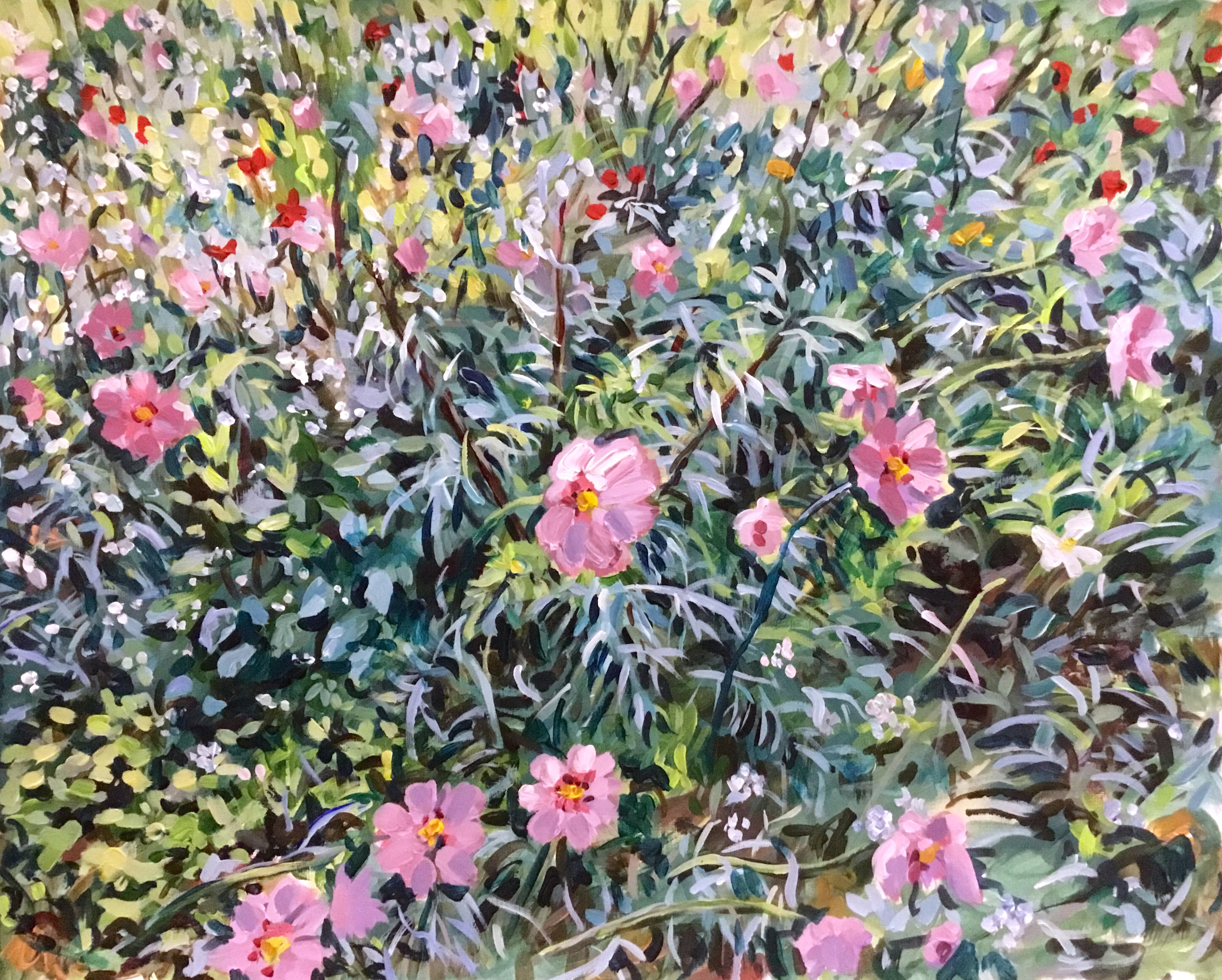 Wild flowers