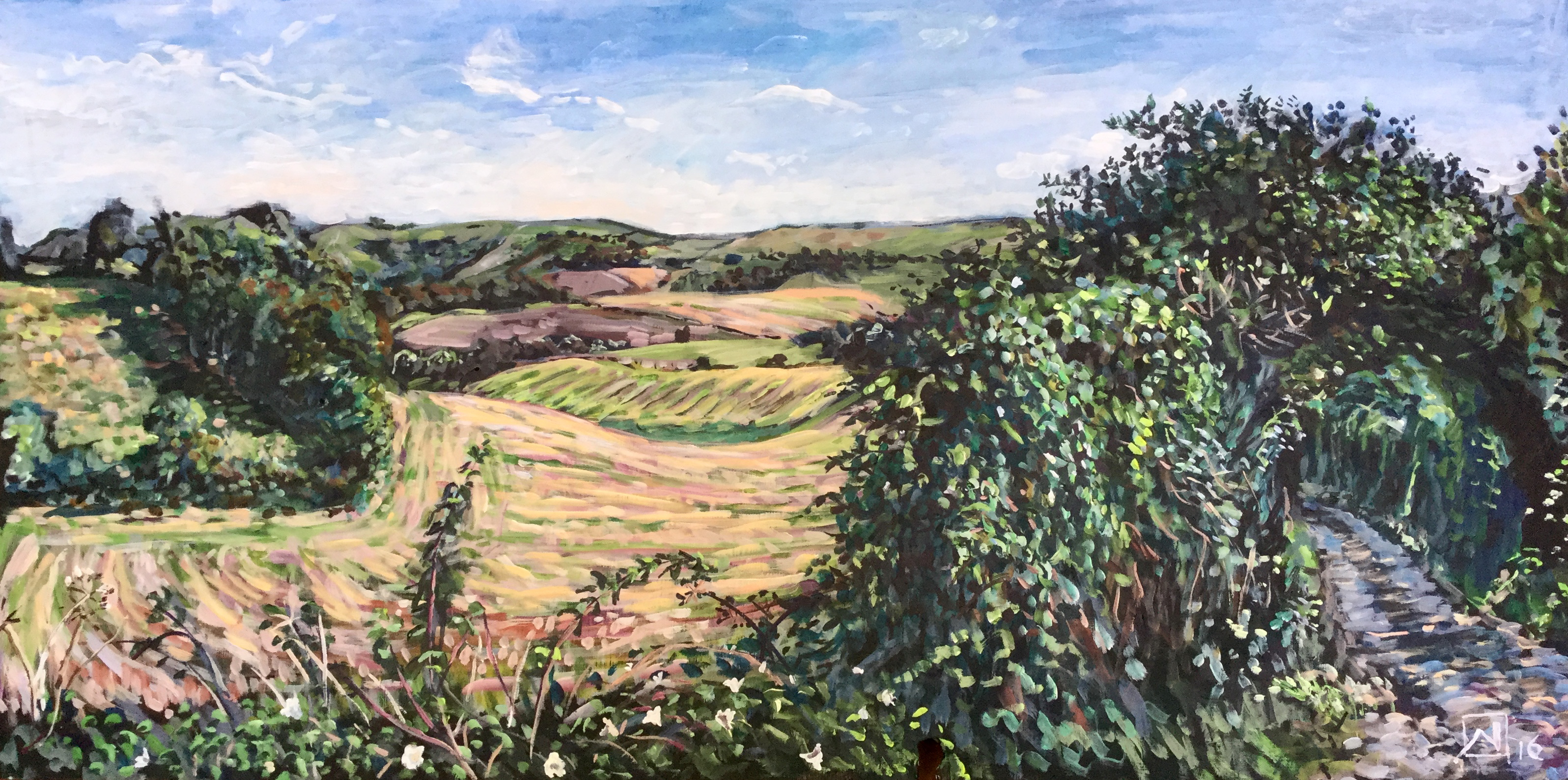 View from Ridge Road, Falmer