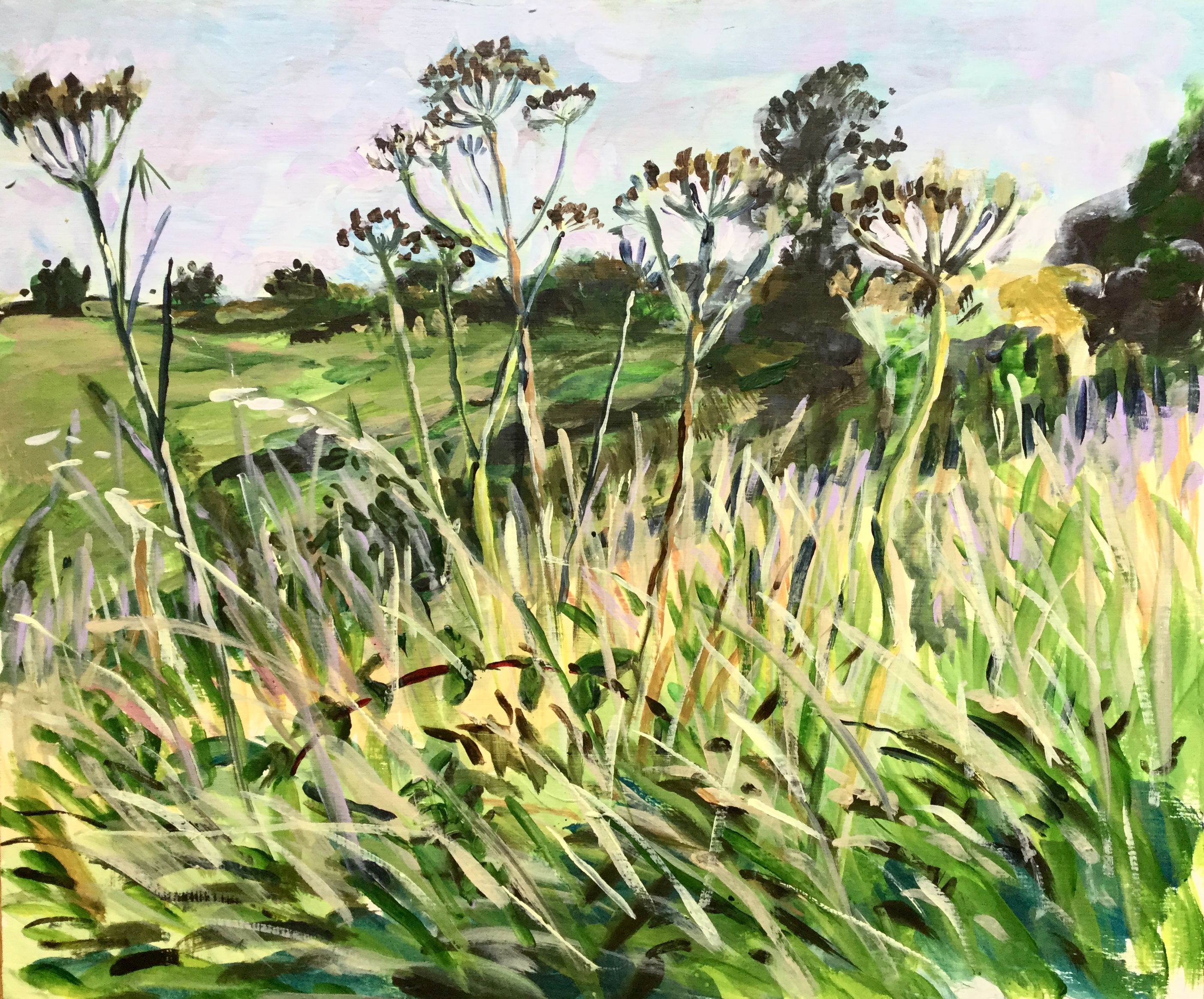 Summer Evening at the Dyke