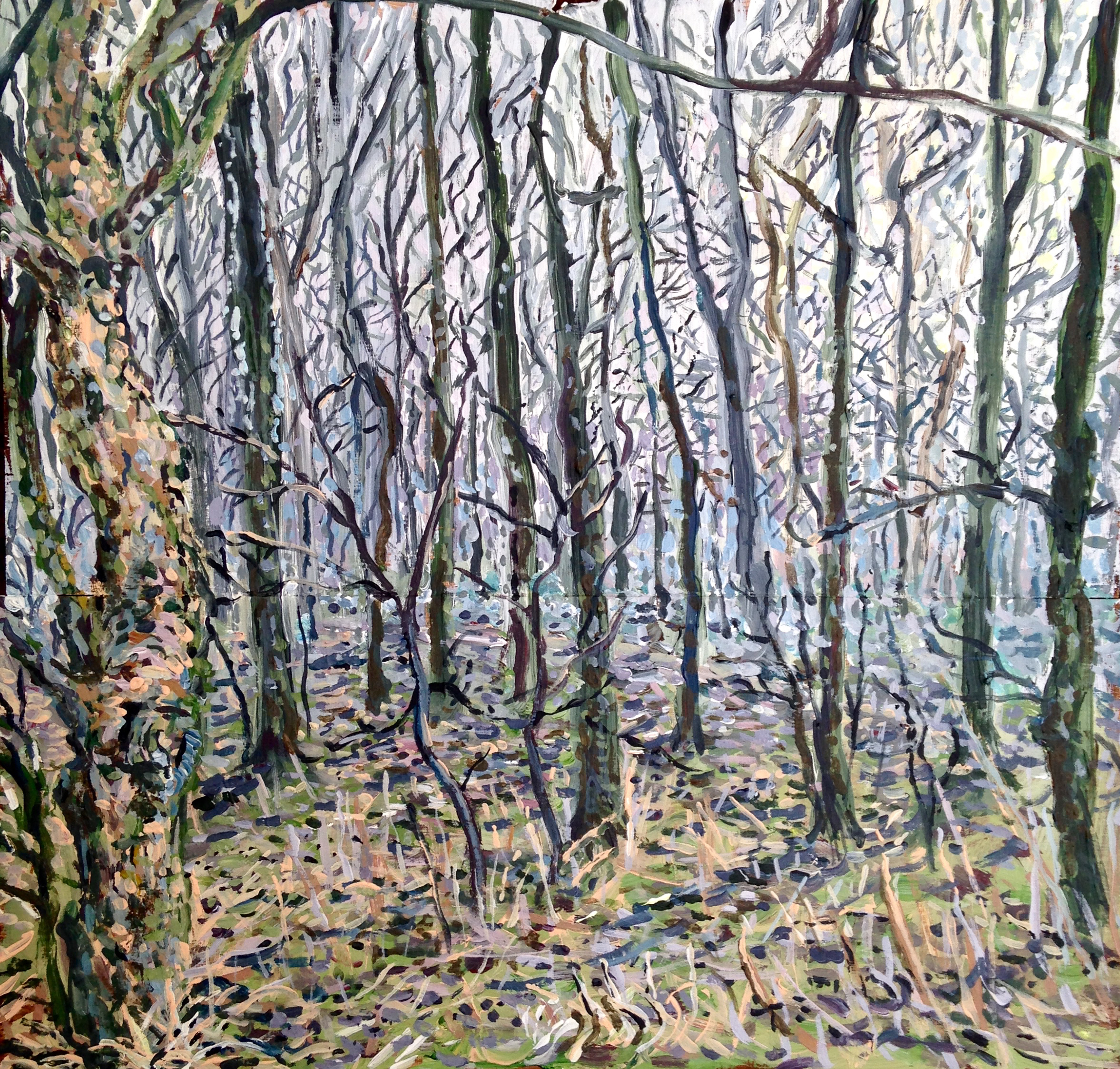 Woodland in Fog