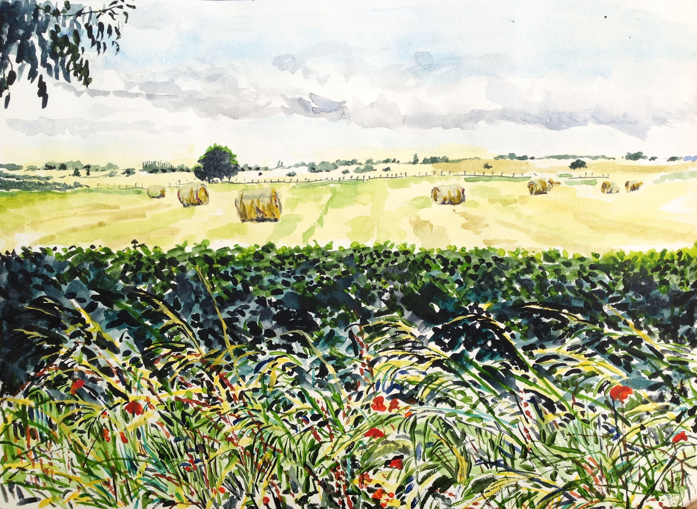 Norfolk Bales