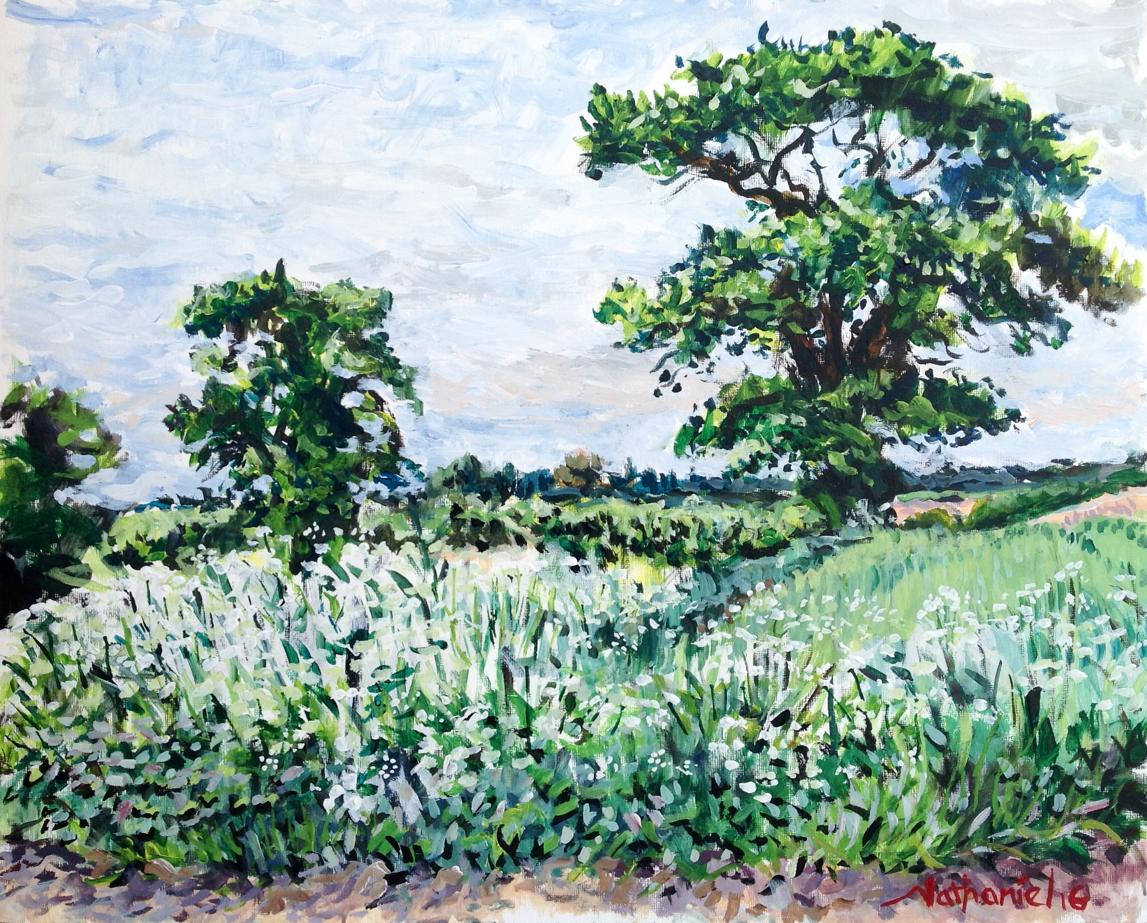 Trees near Holt