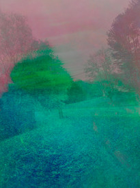 Transitions 1