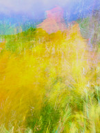 Woodland Fairies  - HAnd They Danced into a fury to cover the hilltops v2
