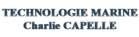 technologie-marine_wh.gif