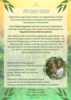 Drackendorf Yoga in der Natur