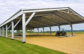 Products Equine Image.jpg