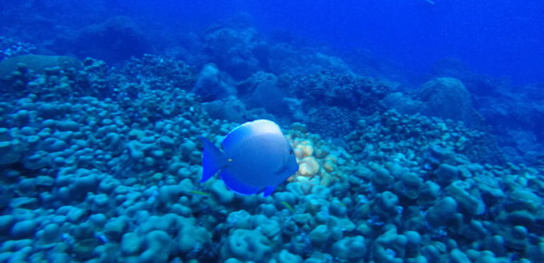 GOPR0466