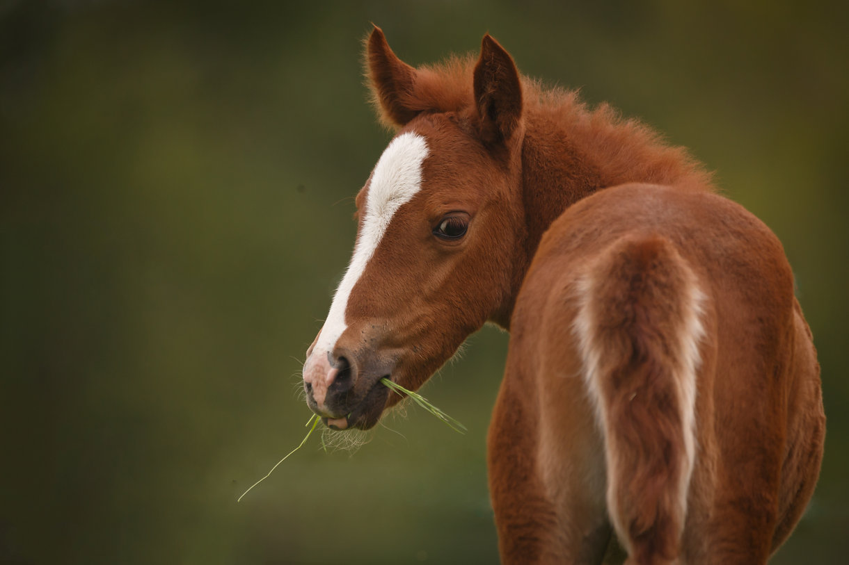 AdobeStock Stock Image.jpeg
