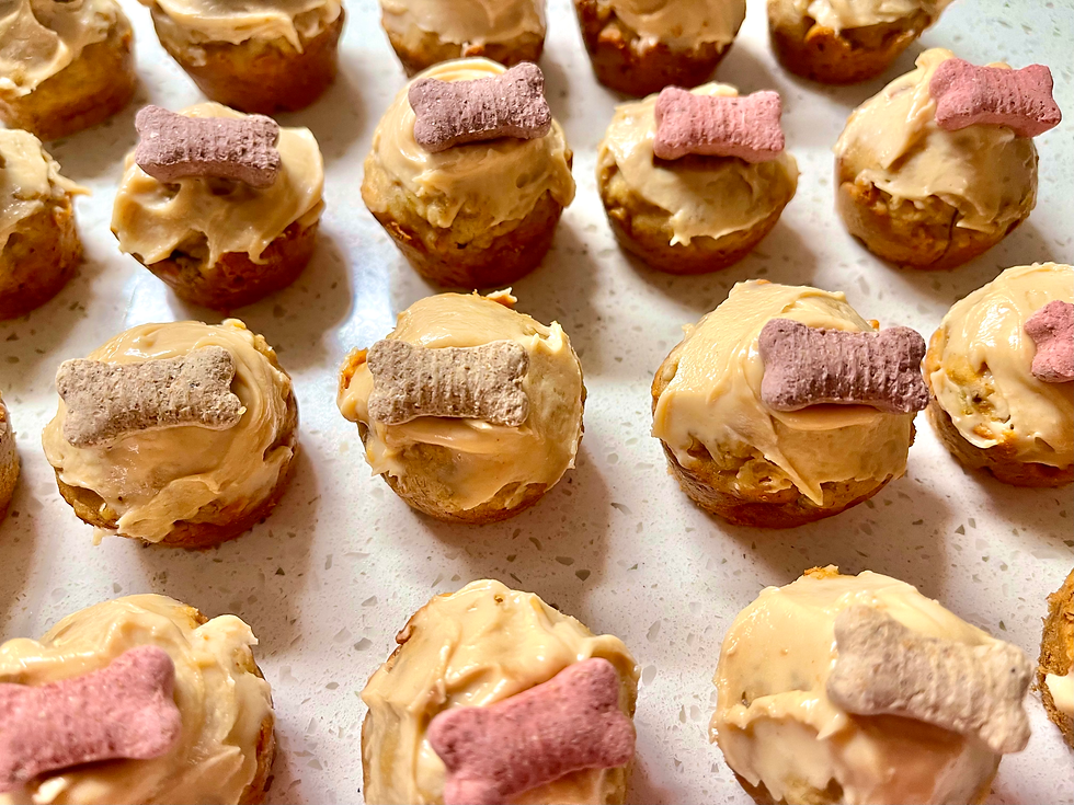 6 Pack - 'Pupcake' Dog Treats