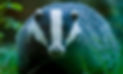 IMG-20220531-WA0010_edited_edited.jpg