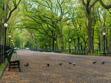 Ghost | Andres Johnson