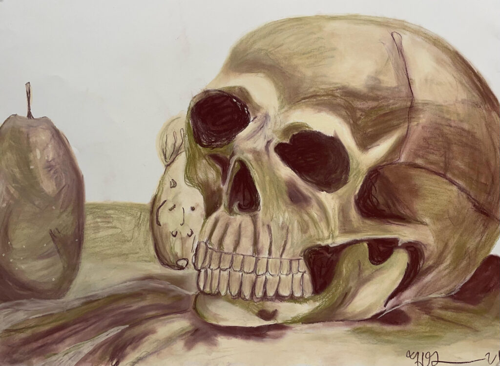 drawing of a skull