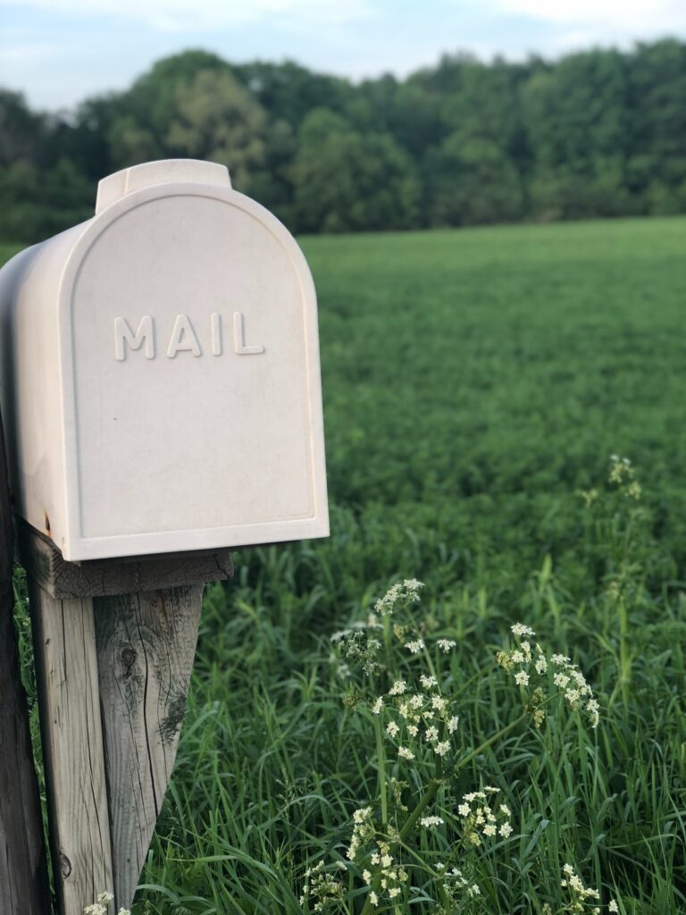 White mail box with the word "mail" on the front, on wooden post. Field of tall grass behind mailbox 