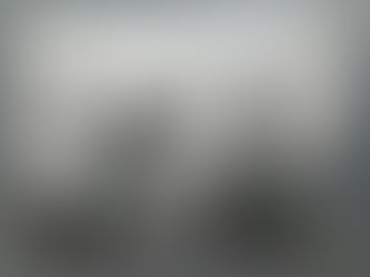 Clown Trigger Fish | Tajniya Rice