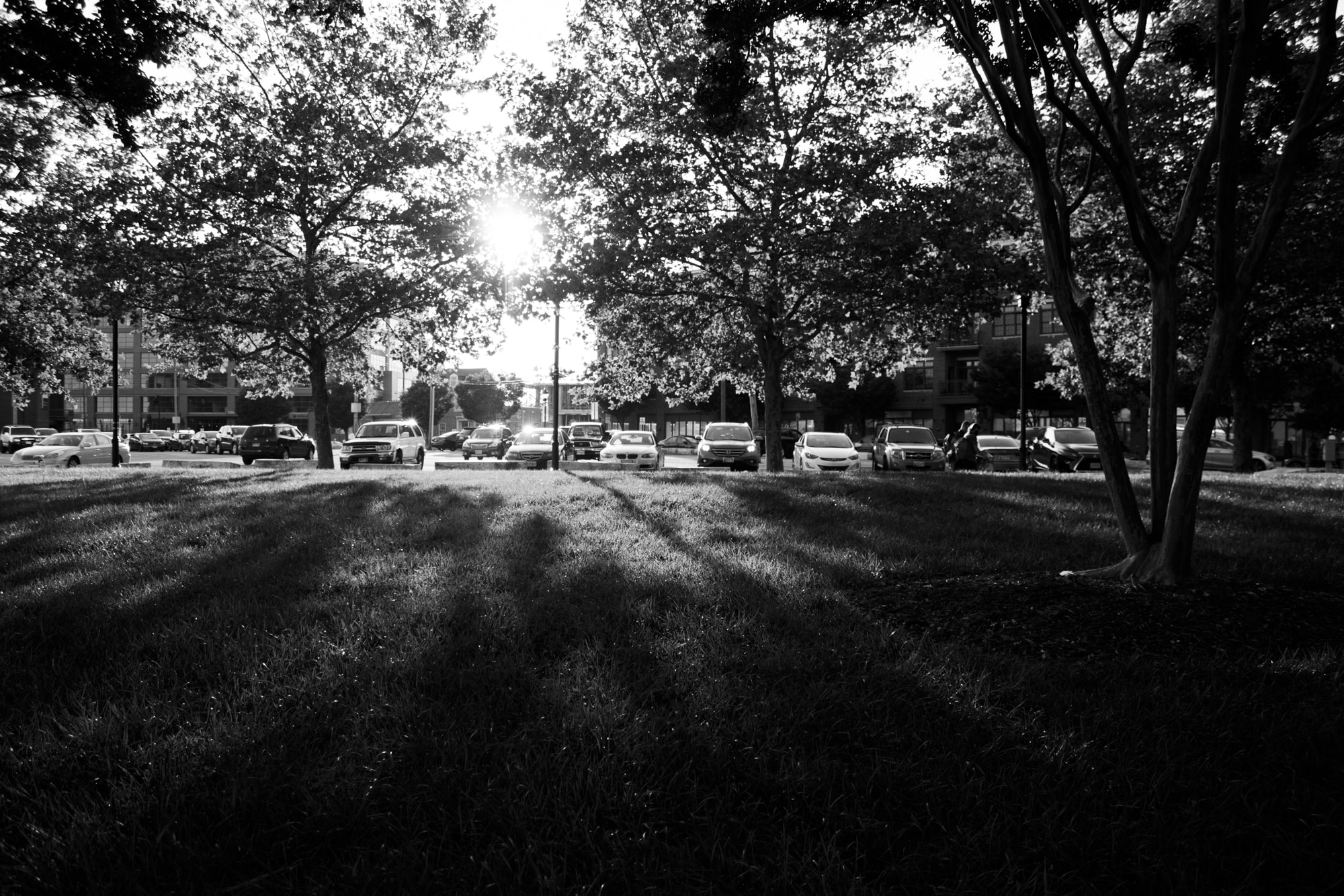 dejordy-photo-shrunk-min