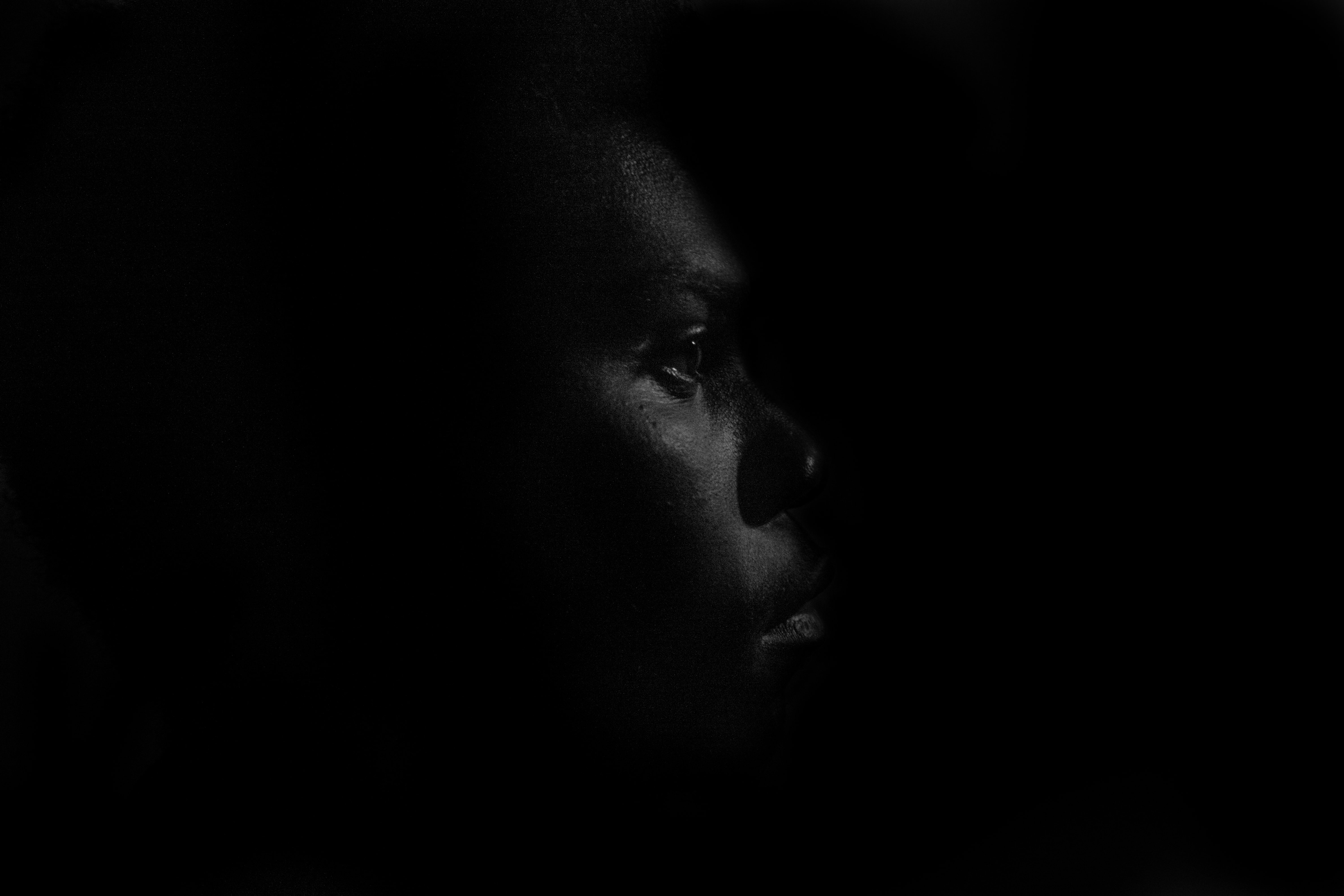 photo-3-le-shrunk-min