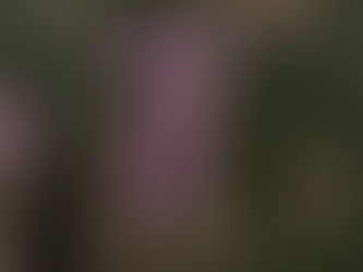 A Temporary Remembrance | Emerson Grubb