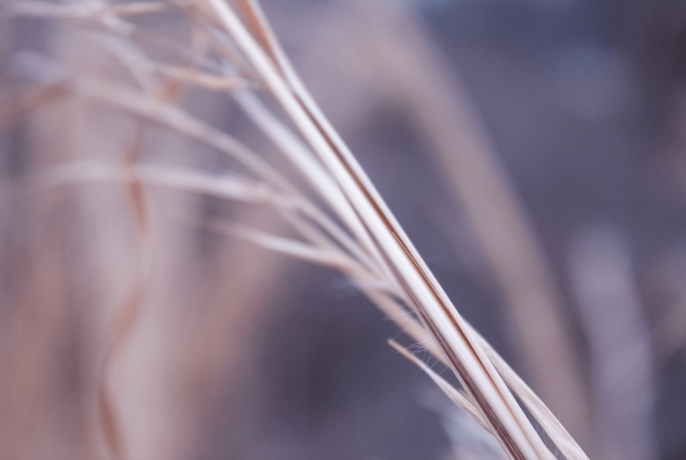 photo-2-le-shrunk-min