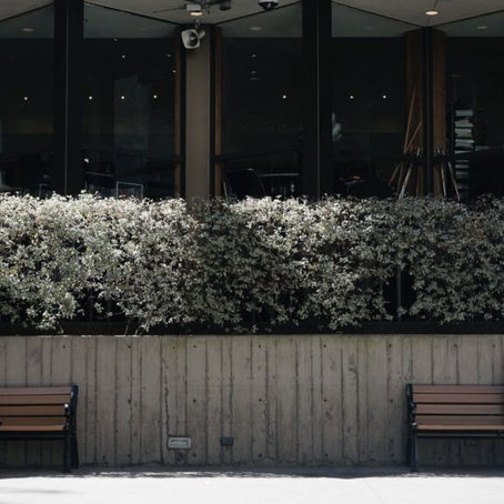 The Person I Used to Love and Know | Darian Dildy