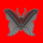 new butterfly 21