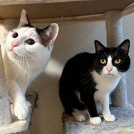 いちろー&じろー