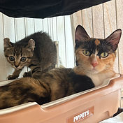 IMG_6156 2_edited.jpg