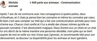 avis michele.jpg