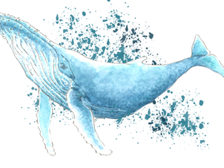 Start of the Field Season 2016!