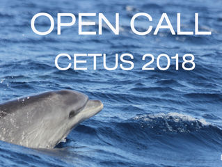 CALL FOR VOLUNTEERS 2018 CETACEAN MONITORING PROJECT IN THE MACARONESIA