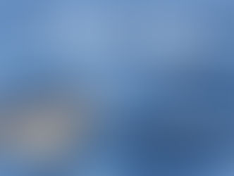 CALL FOR VOLUNTEERS 2018 CETACEAN MONITORING PROJECT IN THE MACARONESIA