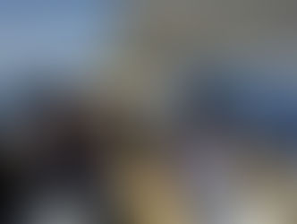 CETUS Project participation in UIM