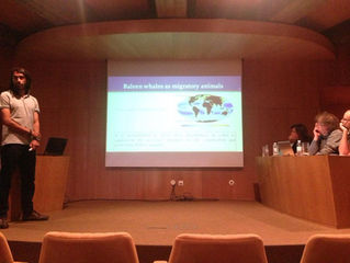 Another master thesis from CETUS!