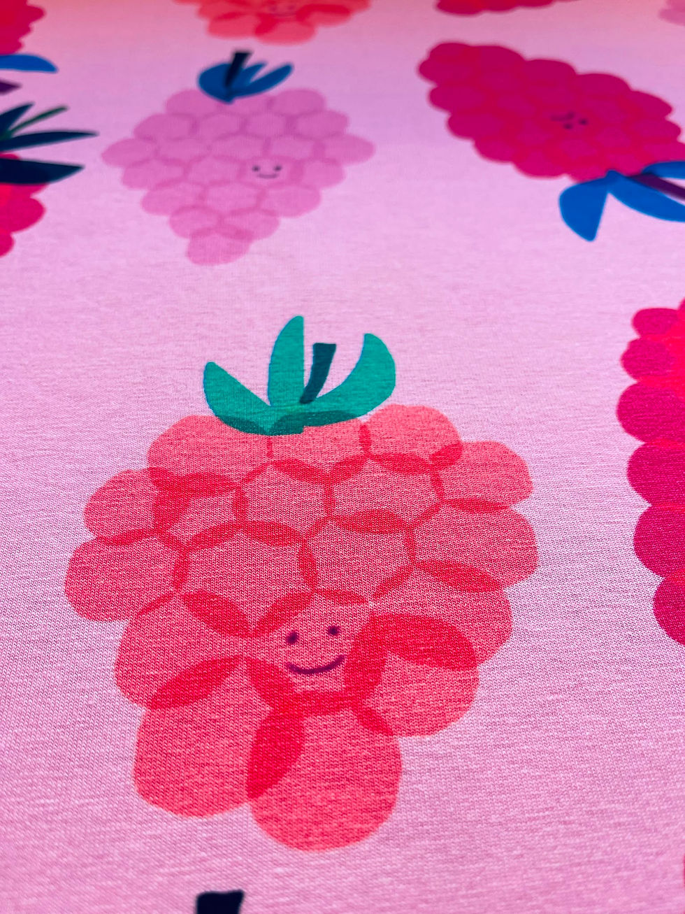 Miniaturbild: Meterware Jersey "RASPBERRY PIE"