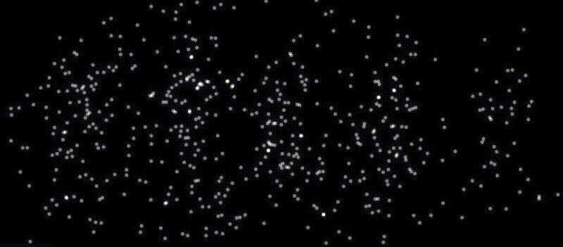Quantum interference pattern gif