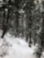 Nordic Trails at the Black Canyon National Park