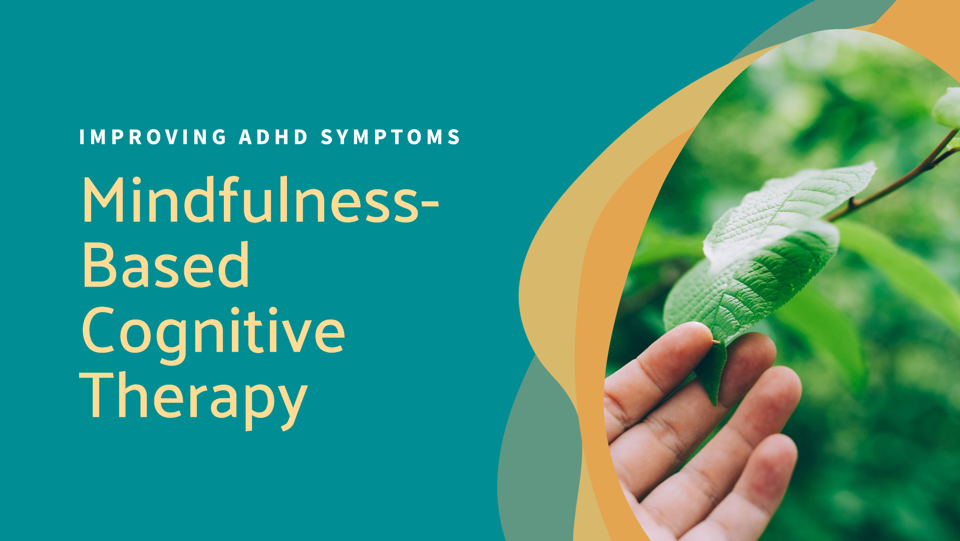 Therapy Add Mindfulness Meets the Mind: The Impact of Mindfulness-Based Cognitive ...