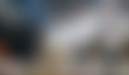 Why Being Around Cows Reduces Stress: The Science Behind Animal-Assisted Therapy