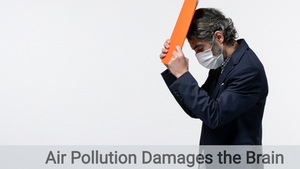 Environmental Pollution and Stroke Risk:
