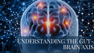 The Gut-Brain Axis in Stroke: How Microbiota Influence Stroke Outcomes