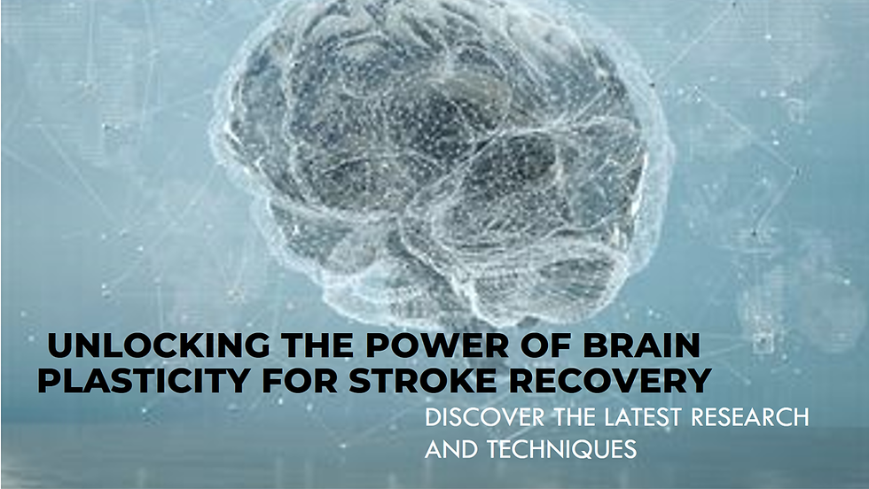 Brain Plasticity And Stroke Recovery Brain Plasticity And Stroke Recovery