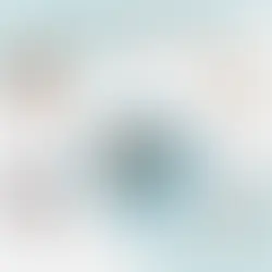 Air Pollution as a Modifiable Risk Factor for Stroke: Emerging Evidence