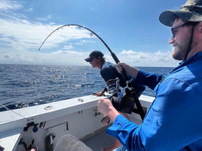 Fishing in Curaçao: The Complete Guide