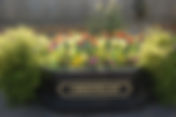 Chieveley Planter