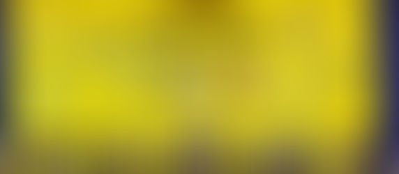 The annual Spelling Bee 2024