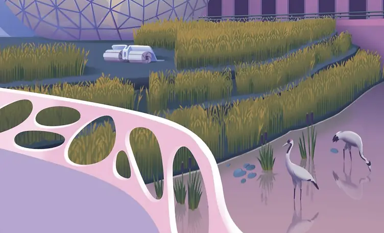 Carbon Cycle City Land Restoration