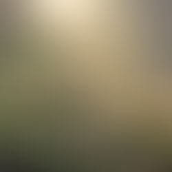 Well-being: Meditation