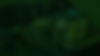 TKOR-Header-Our-Investments-min.jpg