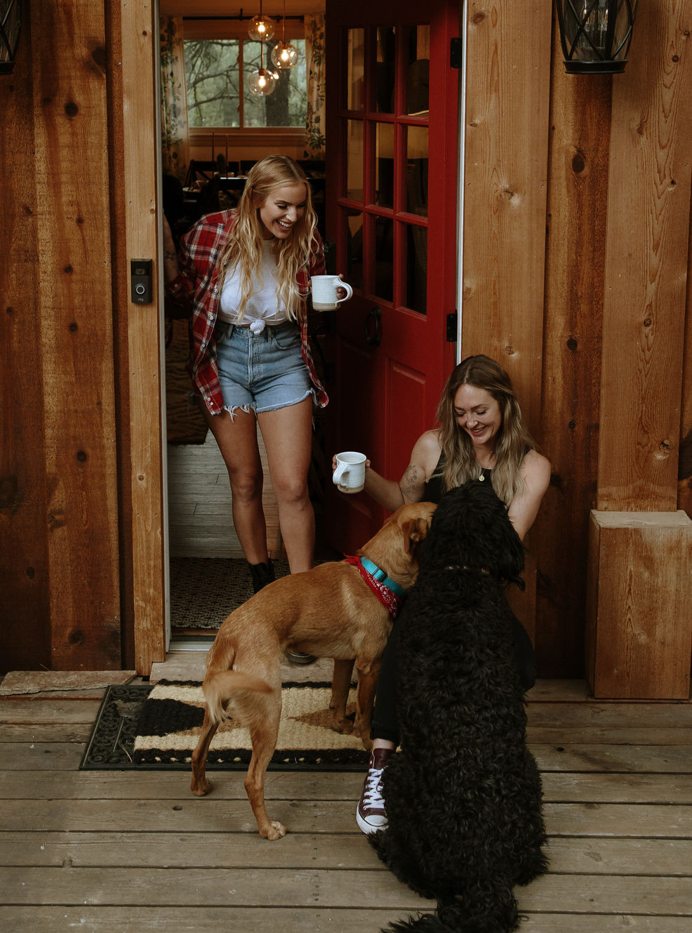 New-Mexico-Cabin-Lifestyle