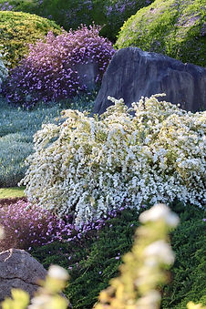 Spring rock 2.jpg